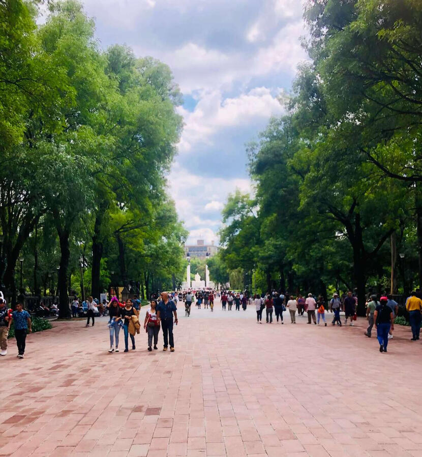 People walking in Bosque de Chapultepec, Mexico City's iconic park, during a cultural walking tour.